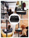Dog Grooming Tool Organizer Caddy and Holder