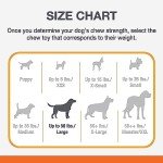 Nylabone Extreme Tough Beef Jerky Chew Bone