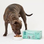 Scrumbles Natural Wet Dog Food Variety Pack