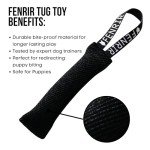 Fenrir 9-Inch Dog Training Bite Pillow for Puppies