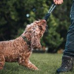 Fenrir 9-Inch Dog Training Bite Pillow for Puppies
