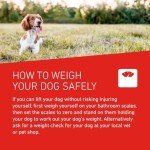Frontline Worming Tablets for Dogs - 2 Count