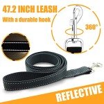 Adjustable No-Pull Dog Harness with Free Leash