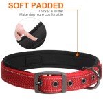 Heavy-Duty Red Dog Collar with Metal Buckle