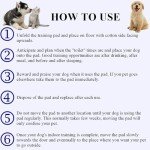 H-line 100 Count Large Absorbent Dog Training Pads