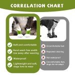 Disposable Dog Boots for Injured Paws - 20 Pack