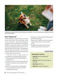 Positive Training for Aggressive, Reactive Dogs