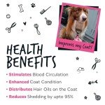 Double-Sided Grooming Brush for Dogs and Cats