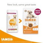 IAMS Senior Dry Dog Food for Large Breeds