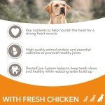 IAMS Senior Dry Dog Food for Large Breeds