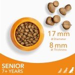 IAMS Senior Dry Dog Food for Large Breeds