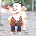 Pirates of the Caribbean Dog Costume - Large