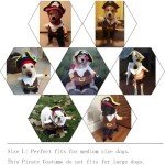 Pirates of the Caribbean Dog Costume - Large