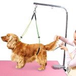 Adjustable Foldable Dog Grooming Arm and Leash Set