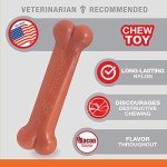 Durable Classic Chew Bone Toy for Dogs