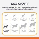 Durable Classic Chew Bone Toy for Dogs