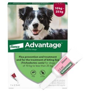 Advantage 250 Flea Treatment for Dogs 10-25kg