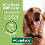 Advantage 250 Flea Treatment for Dogs 10-25kg