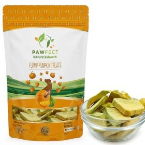 Pawfect Pumpkin Freeze-Dried Dog Treats