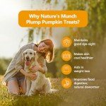 Pawfect Pumpkin Freeze-Dried Dog Treats