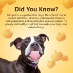 Pawfect Pumpkin Freeze-Dried Dog Treats