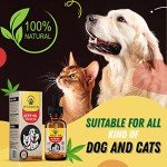 Organic Hemp Oil for Dogs & Cats - 350,000mg