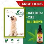 Organic Hemp Oil for Dogs & Cats - 350,000mg