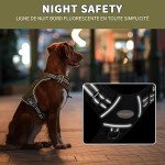 Adjustable Tactical Dog Harness - Reflective & Breathable