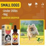 Organic Hemp Oil for Dogs & Cats - 350,000mg
