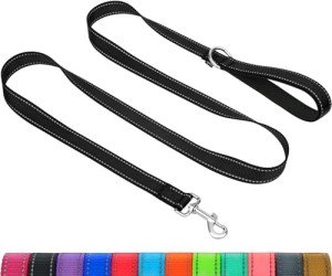 Taglory Reflective Dog Leads for Small/Medium Dogs
