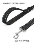 Taglory Reflective Dog Leads for Small/Medium Dogs