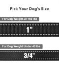 Taglory Reflective Dog Leads for Small/Medium Dogs