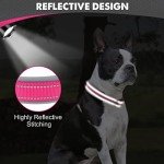 Joytale Reflective Dog Collar, Adjustable, Medium Pink
