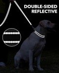 Taglory Reflective Dog Leads for Small/Medium Dogs