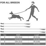 Taglory Reflective Dog Leads for Small/Medium Dogs