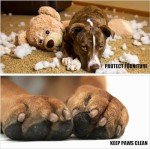 Mayoii Non-Slip Dog Socks - 3 Pairs