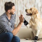 Mayoii Non-Slip Dog Socks - 3 Pairs