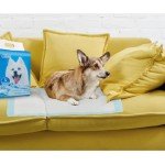 Nobleza - Ultra Absorbent Dog Training Pads, 20 Pack