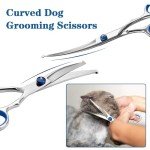 Curved Pet Grooming Scissors Set with Safety Tip