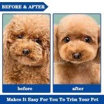 Curved Pet Grooming Scissors Set with Safety Tip