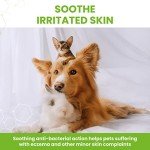 Vetzyme Antibacterial Powder for Pets - 40g