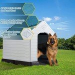 Large Dog Adventure House for Big Breeds