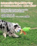 Bungee Tug Toy for Dogs with Squeaker