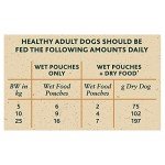 WINALOT Sunday Dinner Gravy Dog Food 40x100g