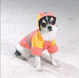 Large Waterproof Peach Storm Dog Jacket
