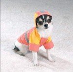 Large Waterproof Peach Storm Dog Jacket