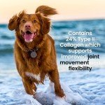 Natural Calcium & Collagen Powder for Dogs - 200g