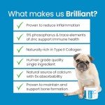 Natural Calcium & Collagen Powder for Dogs - 200g