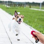 CFMOUR Heavy-Duty Retractable Dog Leash, 5m