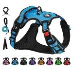 NESTROAD Blue No Pull Dog Harness & Lead Set
